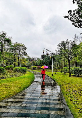 在春雨中漫步